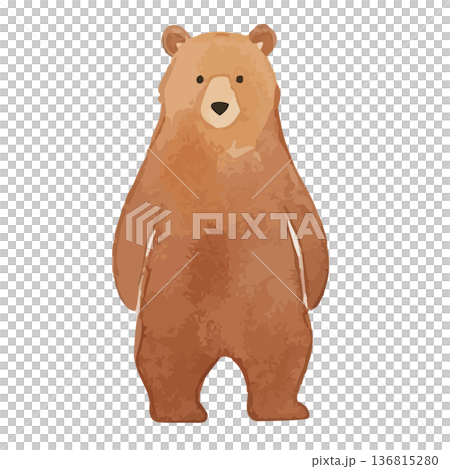 水彩風のクマのイラスト 水彩風のクマのイラスト 136815280