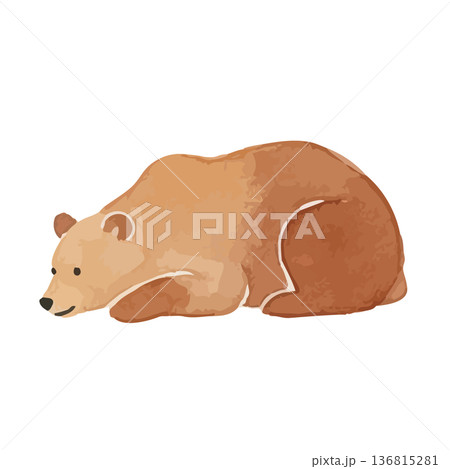 水彩風のクマのイラスト 水彩風のクマのイラスト 136815281