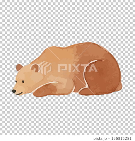 水彩風のクマのイラスト 水彩風のクマのイラスト 136815281