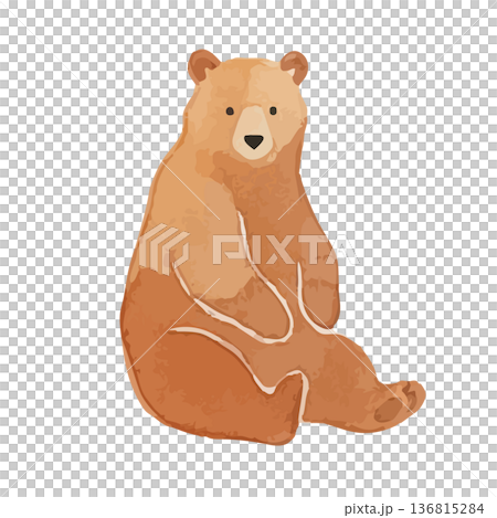 水彩風のクマのイラスト 136815284