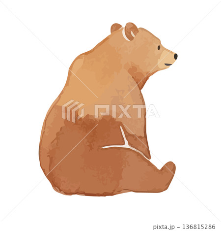 水彩風のクマのイラスト 水彩風のクマのイラスト 136815286