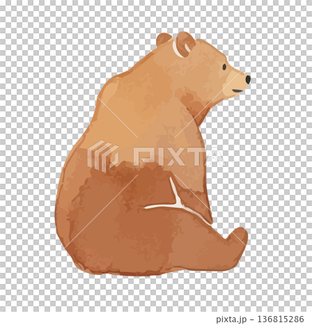水彩風のクマのイラスト 水彩風のクマのイラスト 136815286