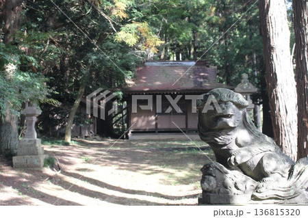 トトロ 136815320