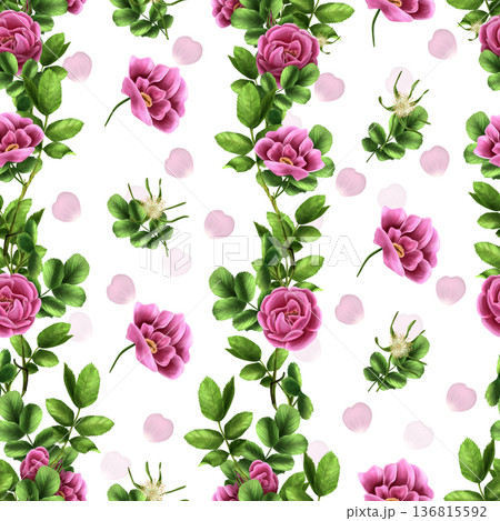 A seamless pattern of pink rose hips with buds and green leaves. Hand-painted watercolor illustration on a white background. Suitable for printing on fabric and wrapping paper. Kitchenware. 136815592