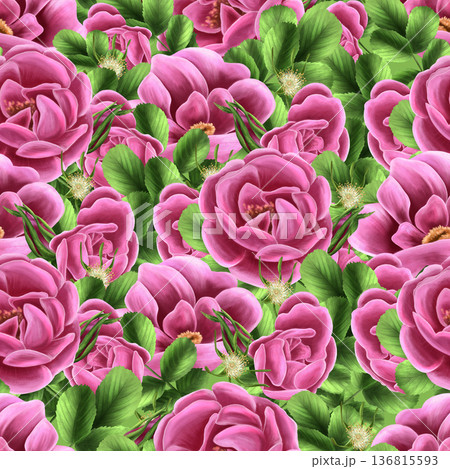 Watercolor seamless pattern of pink rose hips with buds and green leaves. Hand-drawn on a white background. Inspired by spring. Suitable for printing on fabric and wrapping paper. Kitchenware. 136815593