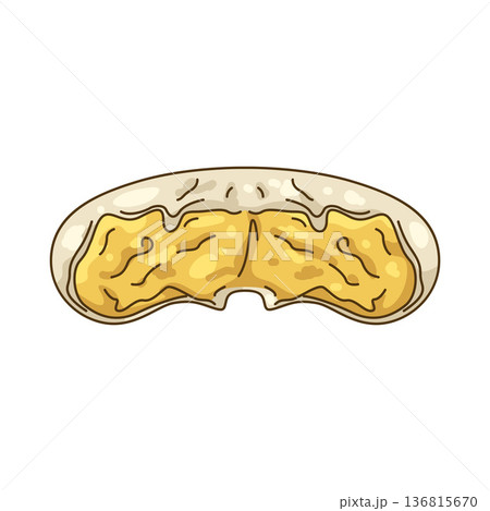 Illustration of Gouda cheese wheel 136815670