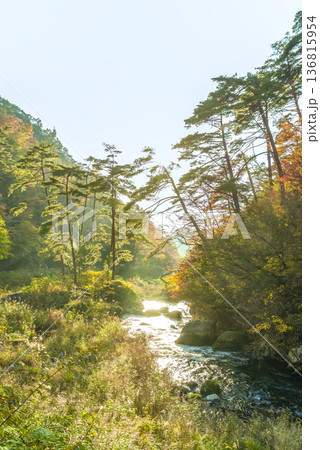山梨県 紅葉の御嶽昇仙峡 山梨県 紅葉の御嶽昇仙峡 136815954