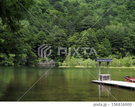 緑に色づく明神池 緑に色づく明神池 136816000
