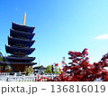 紅葉と青空に映える五重塔 136816019