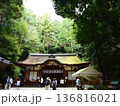 新緑の木々に囲まれた神社 136816021
