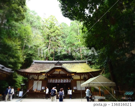 新緑の木々に囲まれた神社 136816021