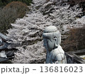 桜の花に囲まれた大仏殿 136816023