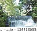緑の中を流れる滝 136816033