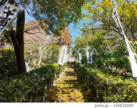 鎌倉　杉本寺 136816080