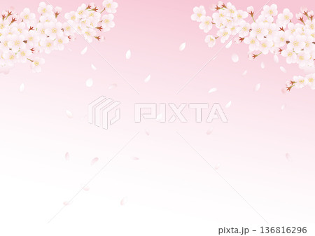 春の花桜満開03 136816296