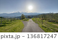 夕方の中央アルプスと果樹園の道（長野県） 136817247