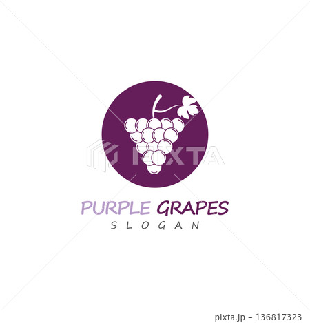 Purple grapes bunch with green leaf on stem illustration icon Purple grapes bunch with green leaf on stem illustration icon 136817323