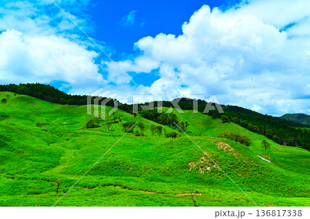 爽やかな高原 136817338