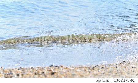 ある夏の波打ち際 ある夏の波打ち際 136817340