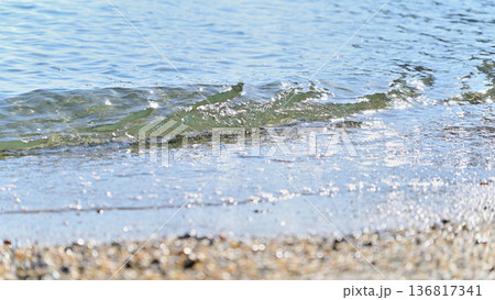 ある夏の波打ち際 ある夏の波打ち際 136817341
