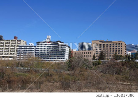 広瀬川おたまや橋周辺の風景 広瀬川おたまや橋周辺の風景 136817390
