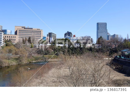 広瀬川おたまや橋周辺の風景 広瀬川おたまや橋周辺の風景 136817391