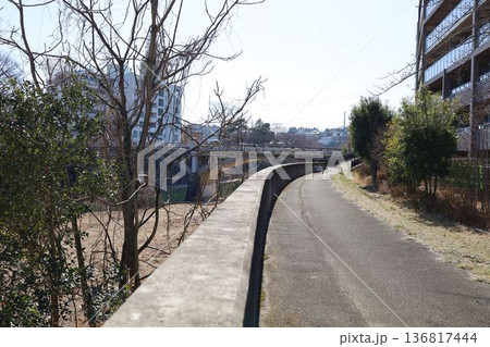 広瀬川おたまや橋周辺の風景 136817444