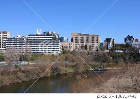 広瀬川おたまや橋周辺の風景 136817445