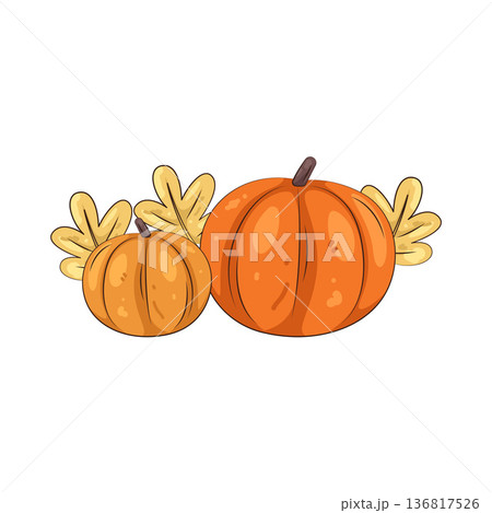 Illustration of pumpkin Illustration of pumpkin 136817526