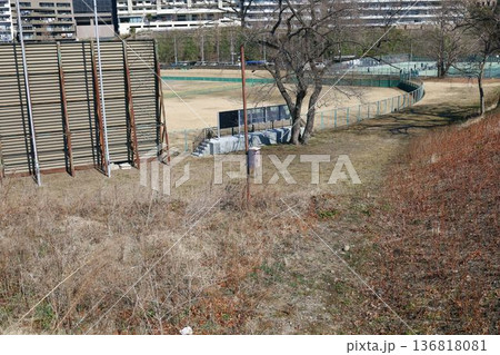 仙台市　評定河原球場、広瀬川 136818081