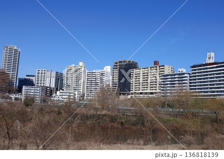 仙台市 評定河原球場、広瀬川 仙台市 評定河原球場、広瀬川 136818139