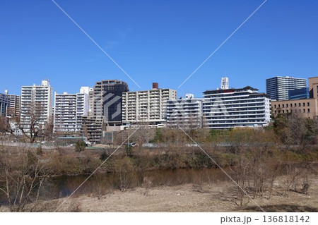 仙台市 評定河原球場、広瀬川 仙台市 評定河原球場、広瀬川 136818142