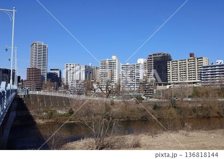 仙台市 評定河原球場、広瀬川 仙台市 評定河原球場、広瀬川 136818144