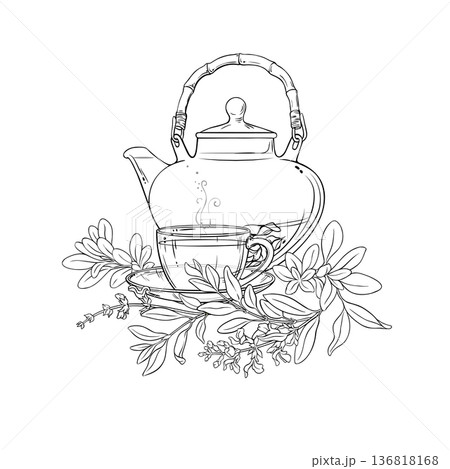 Cup of Sage Tea Outline Illustration. 136818168