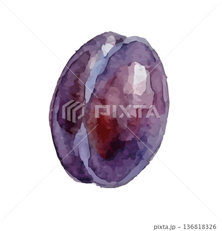水彩風のプルーンのイラスト 水彩風のプルーンのイラスト 136818326