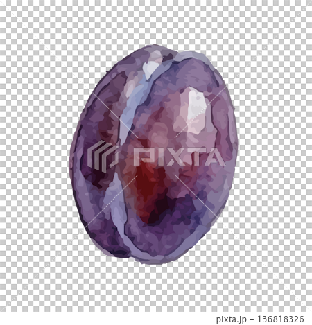 水彩風のプルーンのイラスト 水彩風のプルーンのイラスト 136818326