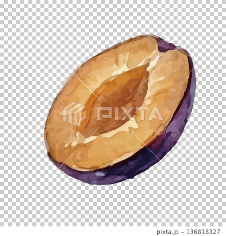 Watercolor style illustration of prunes Watercolor style illustration of prunes 136818327