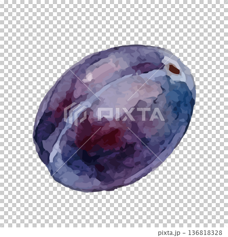 水彩風格的李子插圖 136818328