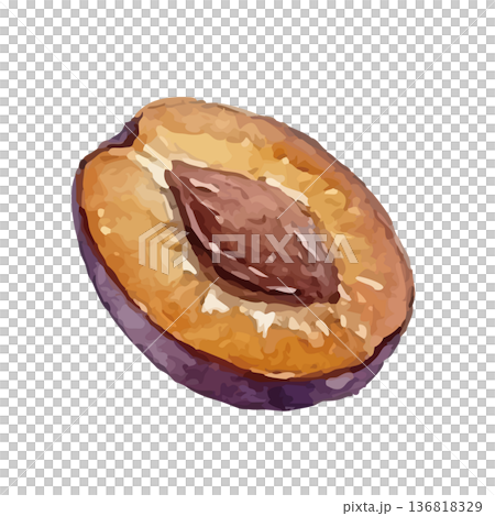 水彩風格的李子插圖 136818329