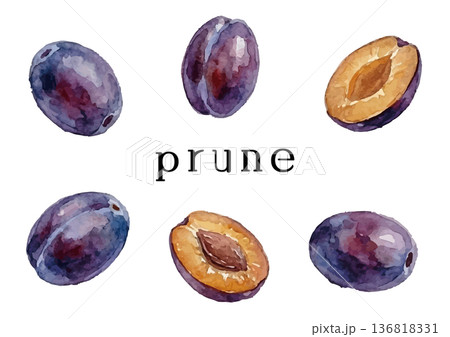 水彩風のプルーンのイラスト 136818331