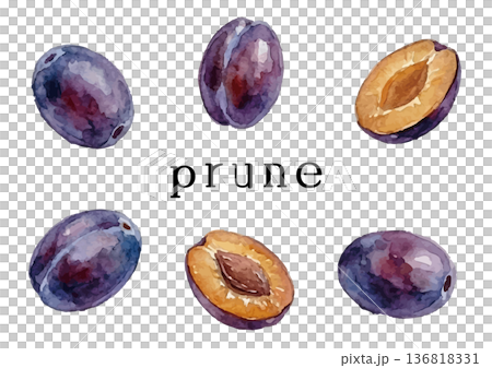 水彩風格的李子插圖 136818331