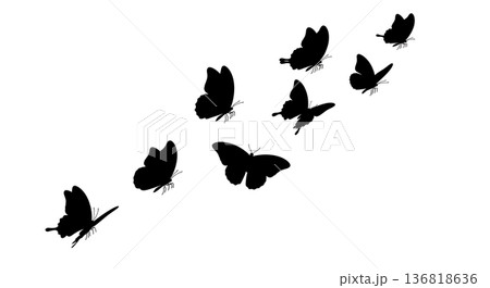 Black Solid Diagonal Flight Butterfly Silhouettes Set of Six on White Background Black Solid Diagonal Flight Butterfly Silhouettes Set of Six on White Background 136818636
