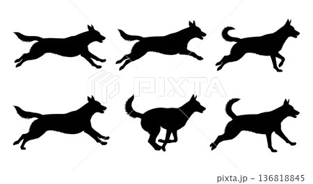 Black Solid Dog Running Gaits Silhouettes Set of Six on White Background Black Solid Dog Running Gaits Silhouettes Set of Six on White Background 136818845