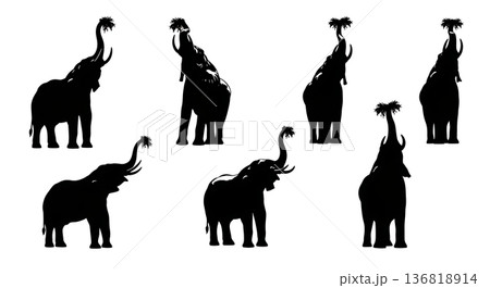 Black Solid Elephant High Reach Silhouettes Set of Six on White Background Black Solid Elephant High Reach Silhouettes Set of Six on White Background 136818914