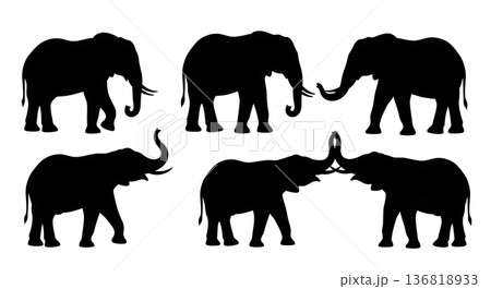 Black Solid Elephant Playful Push Silhouettes Set of Six on White Background Black Solid Elephant Playful Push Silhouettes Set of Six on White Background 136818933