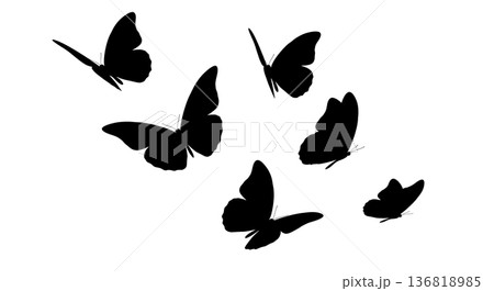 Black Solid Erratic Flight Butterfly Silhouettes Set of Six on White Background 136818985