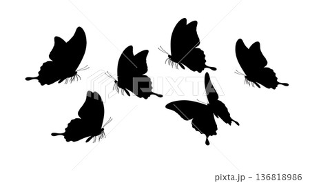 Black Solid Evasive Maneuver Butterfly Silhouettes Set of Six on White Background Black Solid Evasive Maneuver Butterfly Silhouettes Set of Six on White Background 136818986
