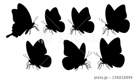 Black Solid Feeding Butterfly Silhouettes Set of Six on White Background Black Solid Feeding Butterfly Silhouettes Set of Six on White Background 136818994