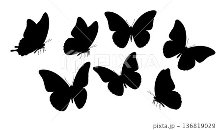 Black Solid Group Butterfly Silhouettes Set of Six on White Background 136819029