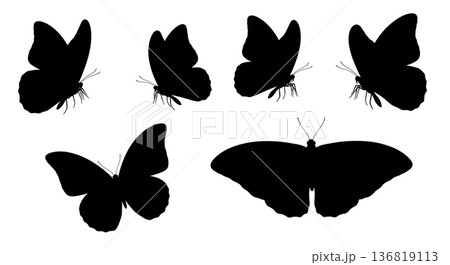 Black Solid Head Orientation Butterfly Silhouettes Set of Six on White Background 136819113